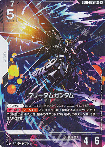 LR+ Freedom Gundam (Parallel)
